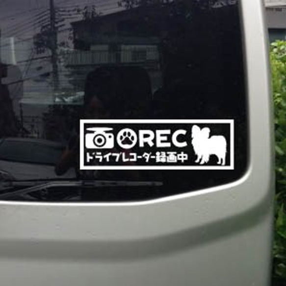 《送料無料》パピヨン シルエット ドライブレコーダー ステッカー 犬 車 3枚目の画像
