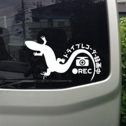 【送料無料】トカゲ とかげ お洒落 ドラレコ ステッカー 爬虫類 リアガラス 車 3枚目の画像