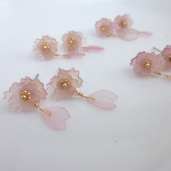 小さな桜と花びらのピアス・イヤリング 4枚目の画像