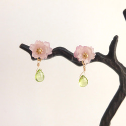 小さな桜とペリドットのピアス・イヤリング 1枚目の画像