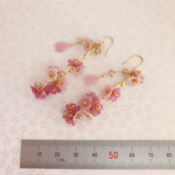 【Yk様専用】枝に咲く満開の桜（寒緋桜）のピアス 4枚目の画像