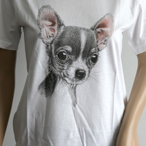 ☆アニマルTシャツ☆犬Tシャツ チワワ D7_サイズM Tシャツ