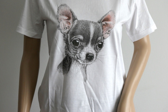 ＊未開封＊DOG柄 ワンポイント Tシャツ&ロングパンツ セット ピンク チワワ paa0083-01.jpg