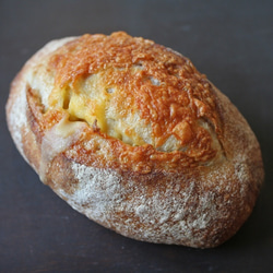 パン・オ・フロマージュ【自家製酵母・国産小麦】【卵不使用】 1枚目の画像