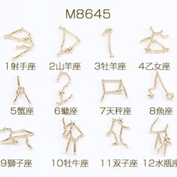 M8645-11 18個  12星座チャーム レジン封入パーツ ゴールド 3×（6ヶ） 1枚目の画像