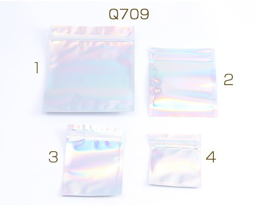 【関税＆送料込み】ChloAC Bag With Charms 210.jpg