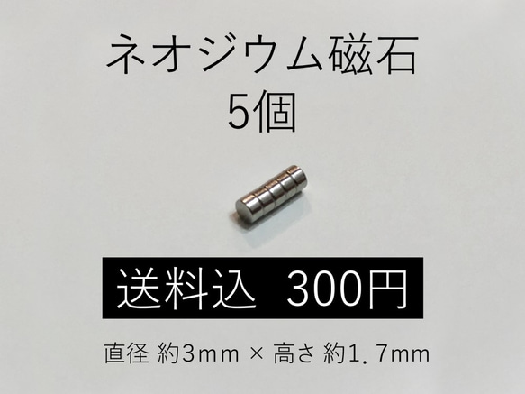 【送料無料】小型　ネオジウム磁石　5個組 1枚目の画像