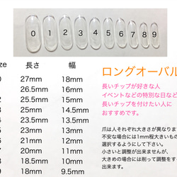 シェル埋め尽くしネイルチップ 5枚目の画像