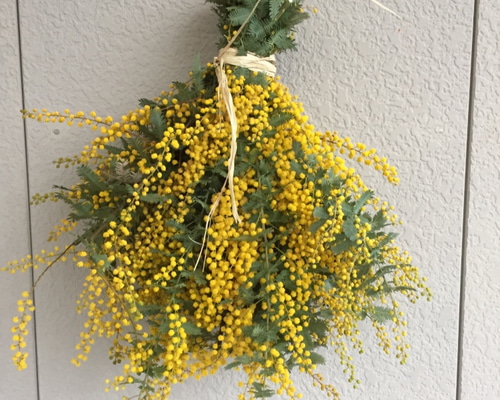 9.ミモザスワッグ ミモザスワッグ9 リース ◇JUN◇ 通販 3719407｜Creema(クリーマ)