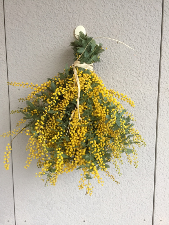 9.ミモザスワッグ ミモザスワッグ9 リース ◇JUN◇ 通販 3719407