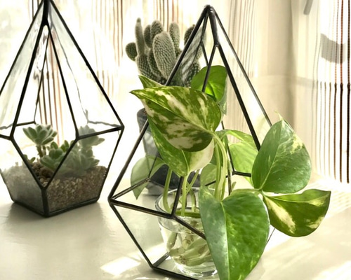 ステンドグラスのテラリウム ティアドロップ 一輪挿し・花瓶・花器