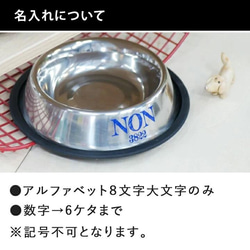 【送料無料】 名前と数字が入った プレーンステンレスフードボウル大 滑り止め付き pet97 5枚目の画像