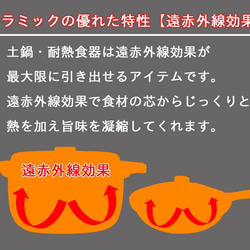 【送料無料】ペット似顔絵・名入れキャセロール 鍋 20cm 　1匹 （ガス＆IH使用可能） ypet5 3枚目の画像