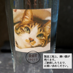 【送料無料】ペットの写真と名前が入ったスタッキングフードボウル 2カラー pet33 5枚目の画像