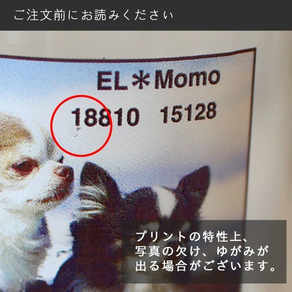 【送料無料】ペットの写真と名前が入ったスタッキングフードボウル 2カラー pet33 7枚目の画像