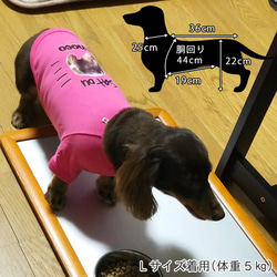 【送料無料】チカチカ顔面DOG WEAR pet36 5枚目の画像