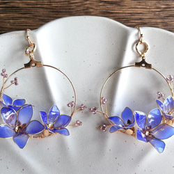 Chinese Bellflower pierced earring /clip earring 第6張的照片