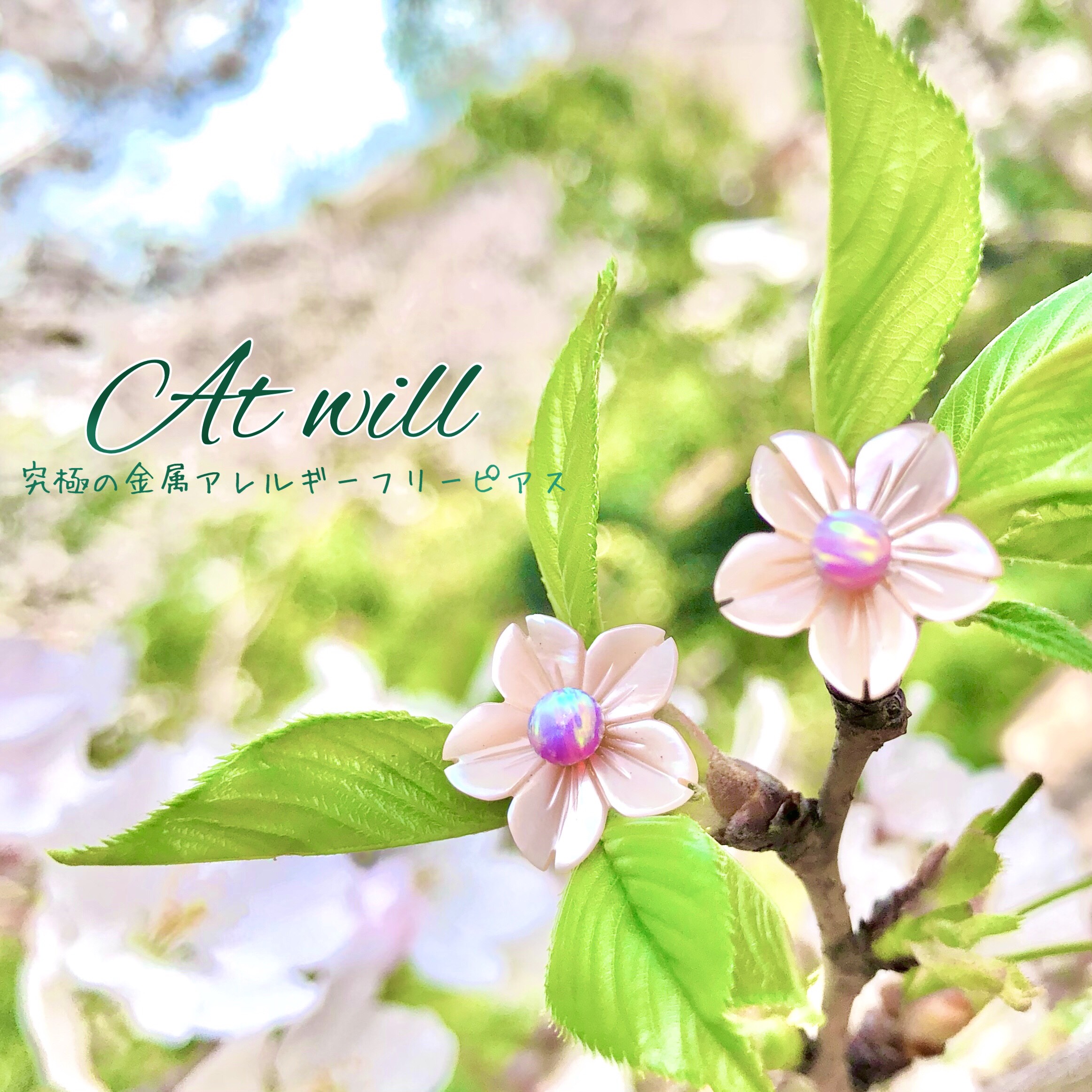 桜日和 京都オパールと桜型シェルの春ピアス