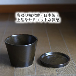 濃い茶色い陶器の植木鉢 (セミマット) (すり鉢タイプ) (ダークブラウン) (受け皿付き) 7枚目の画像