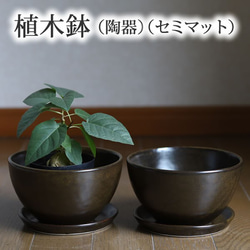 濃い茶色い陶器の植木鉢 (セミマット) (ボールタイプ) (ダークブラウン) (受け皿付き) 1枚目の画像