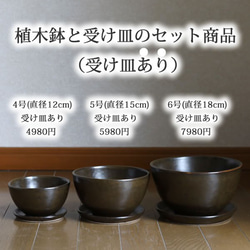 濃い茶色い陶器の植木鉢 (セミマット) (ボールタイプ) (ダークブラウン) (受け皿付き) 13枚目の画像