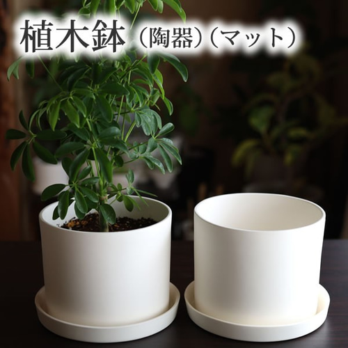白い陶器の植木鉢 (焼きしめ) (釉薬なし) (ずんどうタイプ