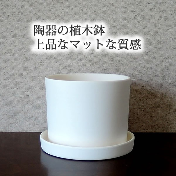 白い陶器の植木鉢 (焼きしめ) (釉薬なし) (ずんどうタイプ) 7枚目の画像