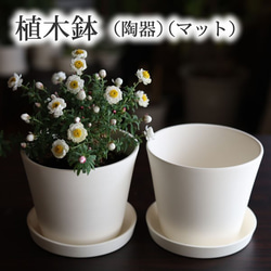 白い陶器の植木鉢 (焼きしめ) (釉薬なし) (すり鉢タイプ) 2枚目の画像