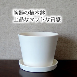 白い陶器の植木鉢 (焼きしめ) (釉薬なし) (すり鉢タイプ) 8枚目の画像