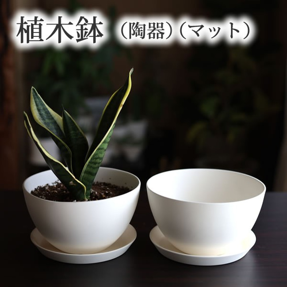 白い陶器の植木鉢 (焼きしめ) (釉薬なし) (ボールタイプ) 2枚目の画像