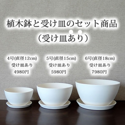 白い陶器の植木鉢 (焼きしめ) (釉薬なし) (ボールタイプ) 19枚目の画像