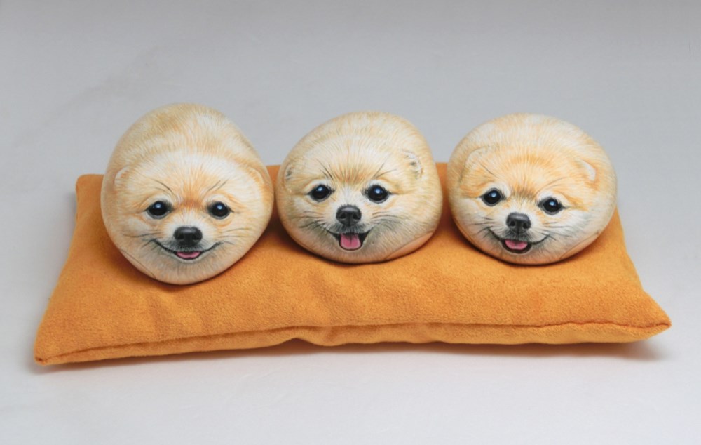92%OFF!】【92%OFF!】ポメラニアン 犬 イヌ いぬ クマノミ ぽぽち
