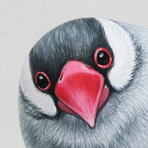 油絵　あらんぼん　仲良く集まるくちばしの小さな鳥たち　密は楽し 油絵 あらんぼん様専用 仲良く集まるくちばしの小さな鳥たち 密