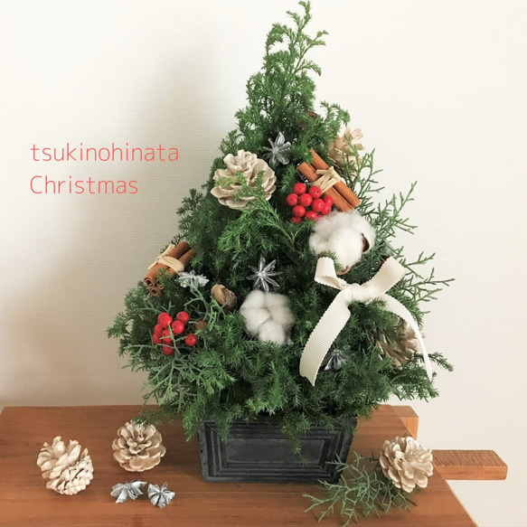 コットンと赤い実のフレッシュクリスマスツリー 高さ約40㎝ 生花針葉樹