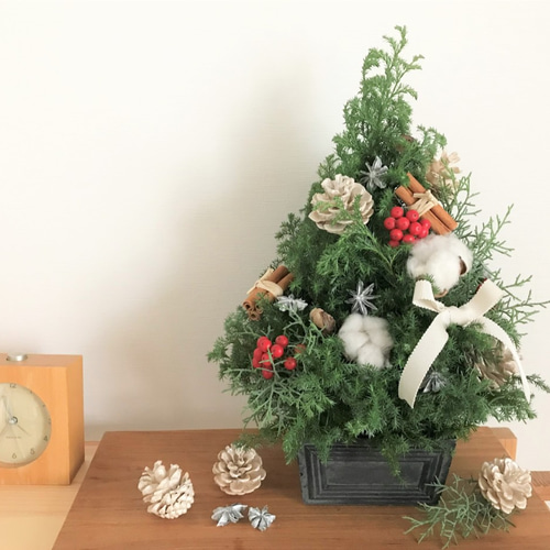コットンと赤い実のフレッシュクリスマスツリー 高さ約40㎝ 生花針葉樹