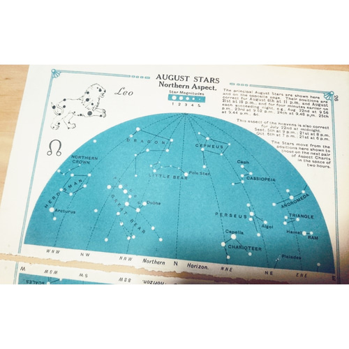 十二支星座 天文図版 8月 北半球 しし座 南半球 おとめ座 十二支星座 天文図版 8月 北半球 しし座 南半球 おとめ座