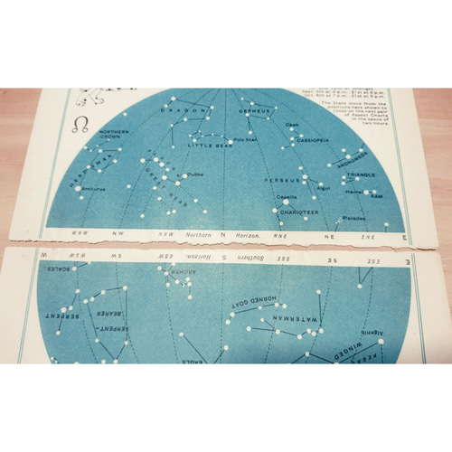 十二支星座 天文図版 8月 北半球 しし座 南半球 おとめ座 十二支星座 天文図版 8月 北半球 しし座 南半球 おとめ座