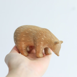 キボリノクマ 1枚目の画像