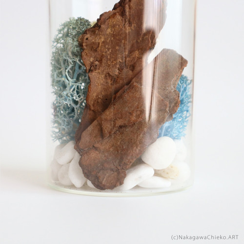 森を感じるスカンディアモスのガラス標本 ～海～ #手作りキット ハー