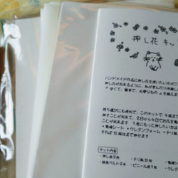 簡単押し花キット（乾燥シート5枚→10枚に増量中！！） 1枚目の画像