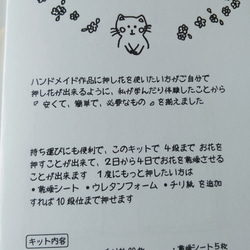 簡単押し花キット（乾燥シート5枚→10枚に増量中！！） 2枚目の画像