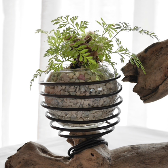 流木プランター エアープランツホルダー 植木鉢 花器 花瓶 ワイヤー グラスインテリア Lサイズ 5枚目の画像