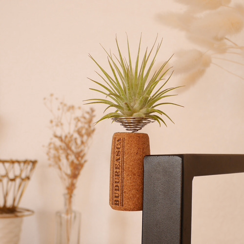 マグネットコルクプランツNo23(コルク&ワイヤー&マグネット)ワインの