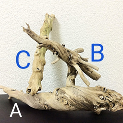 軽量 流木Ａ 素材　Ｓサイズ　長さ32.5ｃｍ　幅9ｃｍ　高さ9.5ｃｍ　重さ68ｇ 7枚目の画像