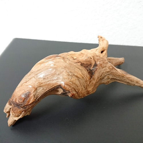 流木 1ヶ月かけて2000番のサンドペーパーで磨きました。最後15000番で