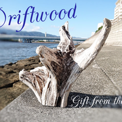 0_e9af0b0b783217248a2d94c334cf