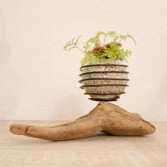 流木プランター エアープランツホルダー 植木鉢 花器 花瓶 ワイヤー グラスインテリア Sサイズ A 流木アート 7枚目の画像