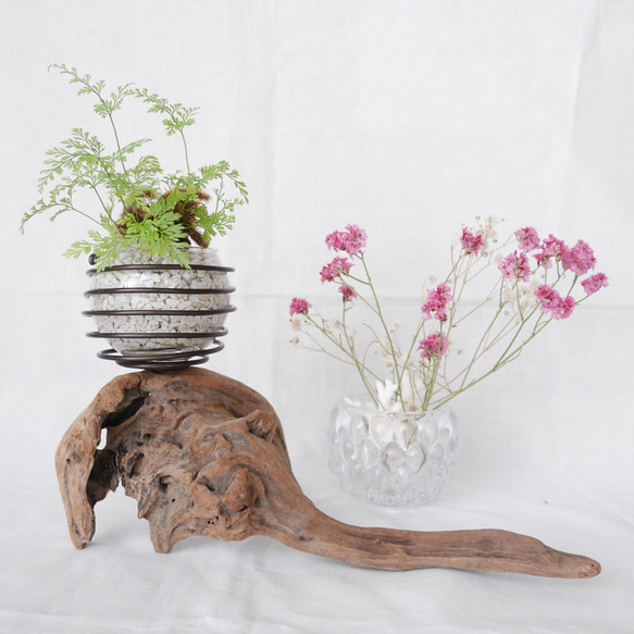 流木プランター エアープランツホルダー 植木鉢 花器 花瓶 ワイヤー グラスインテリア Sサイズ B 流木アート 2枚目の画像