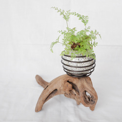 流木プランター エアープランツホルダー 植木鉢 花器 花瓶 ワイヤー グラスインテリア Sサイズ B 流木アート 3枚目の画像