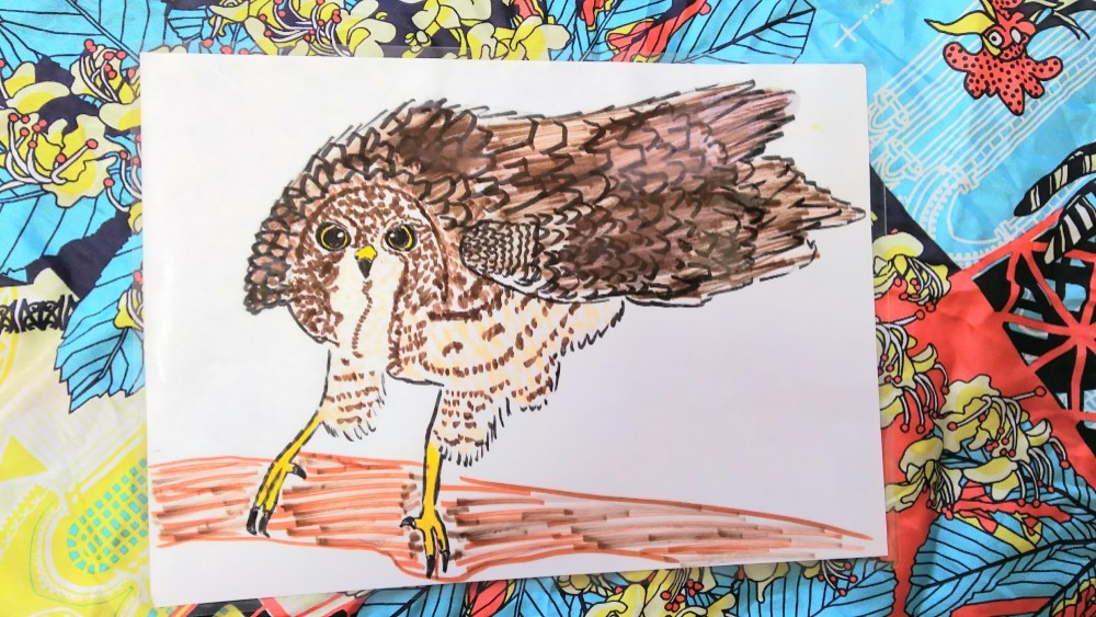 ☆★☆『鷹の飛行訓練』★★★